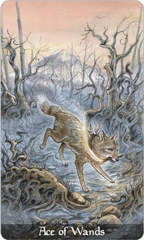 Ace Of Wands - Tarot (600x800), Png Download