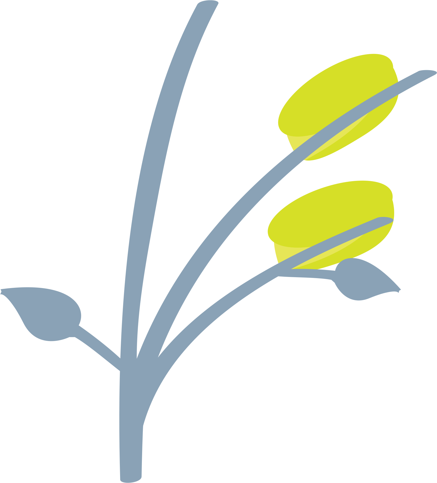 Open - Thumbnail (2000x2000), Png Download