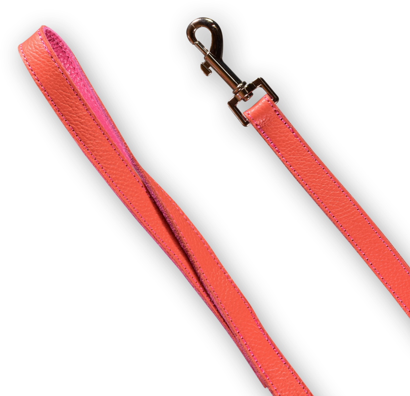 Dog Leash - Dog (900x900), Png Download