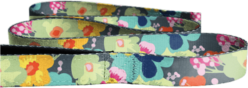 Belt (880x500), Png Download