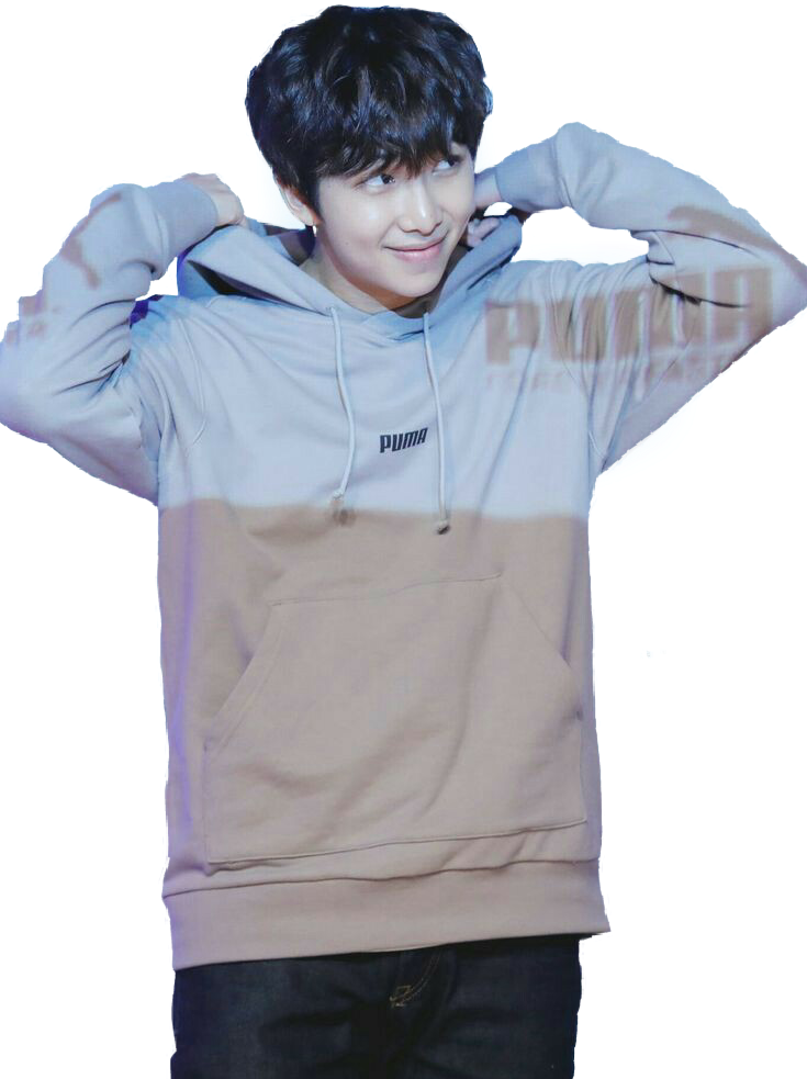 Namjoon Sticker - Puma Namjoon Fansign Beige (735x983), Png Download