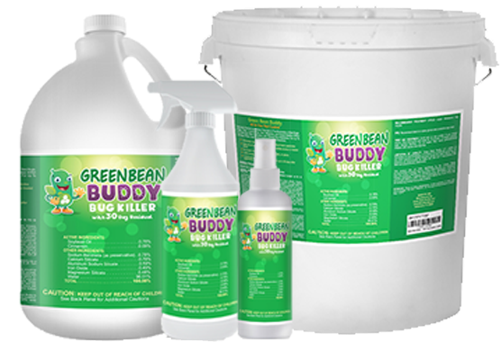 Upon Using, I Realized That Green Bean Buddy Bed Bug - Insect (576x576), Png Download