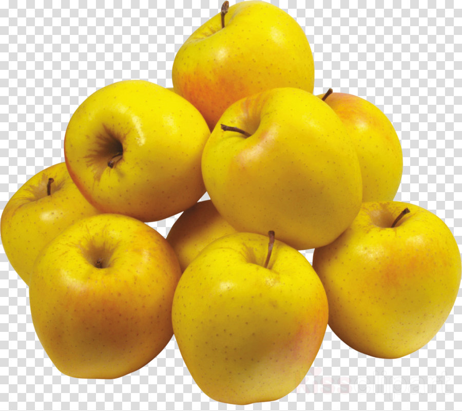 Download Yellow Apples Png Clipart Apple Apple Fruit - Yellow Apple Tree Organic Heirloom Seeds (900x800), Png Download