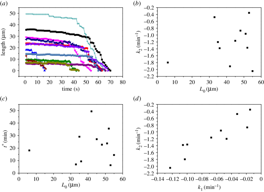 Results From Analysis Of Video Microscopy On The Dissipation - Diagram (850x621), Png Download