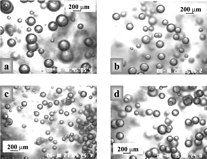Typical Image Of Air Bubbles In - Circle (720x555), Png Download