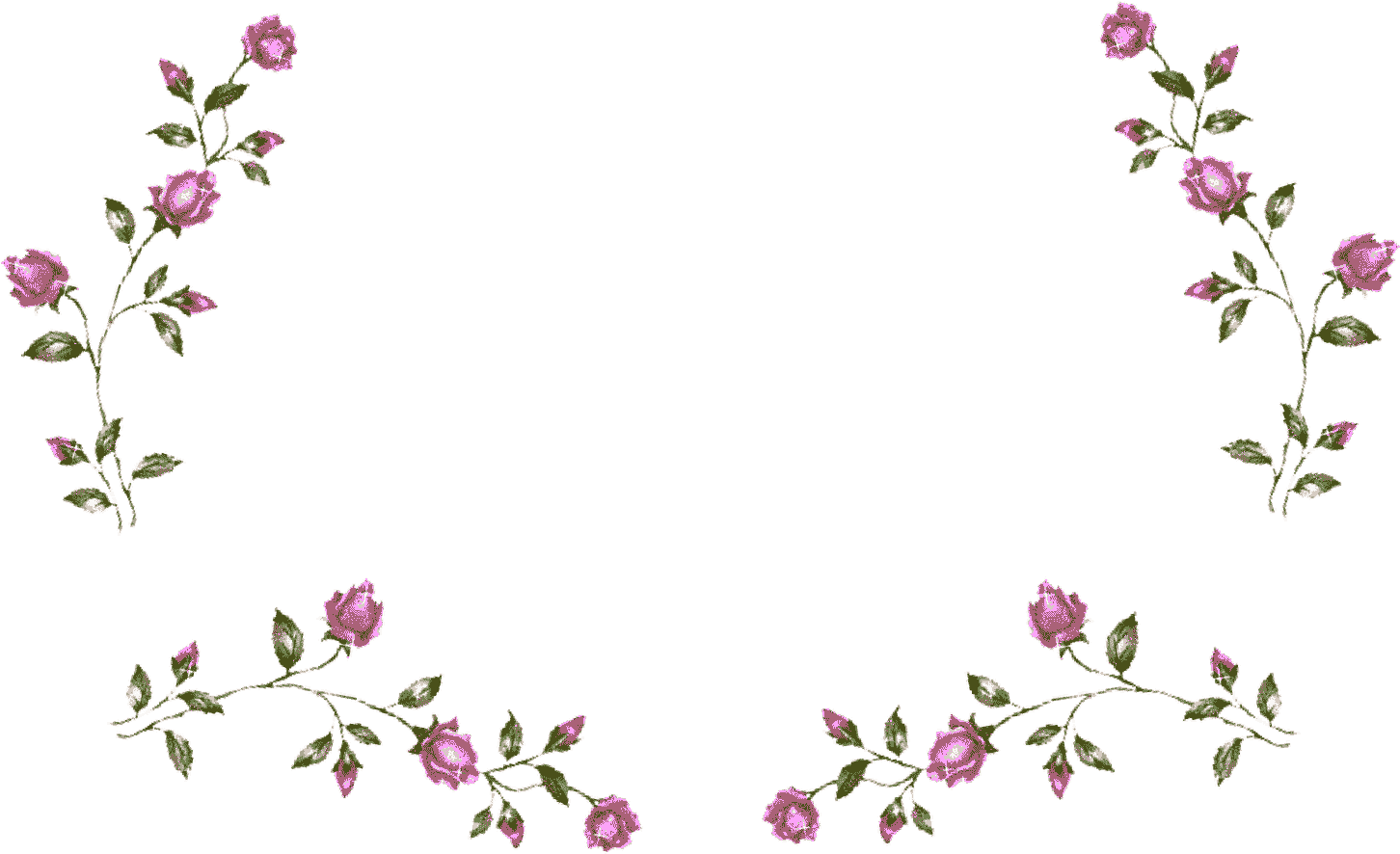 Rose Vine Comp - Transparent Wedding Gif (1500x945), Png Download