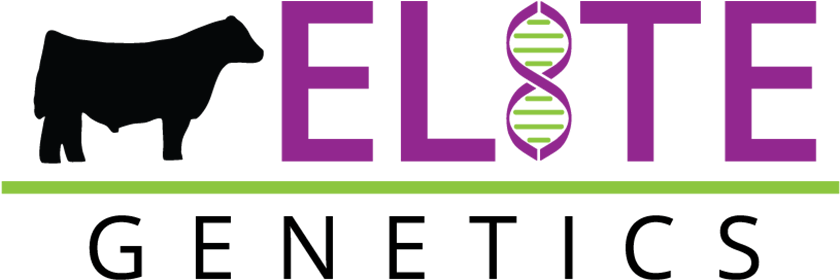 Elite Genetics - Optus Vs Telstra Vs Vodafone (864x864), Png Download