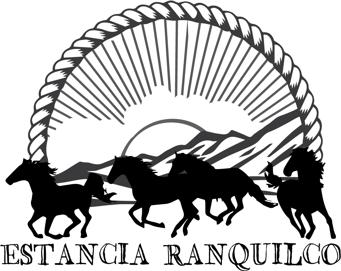 Connect With Us - Lovely Horse Running Sticker (1104x882), Png Download