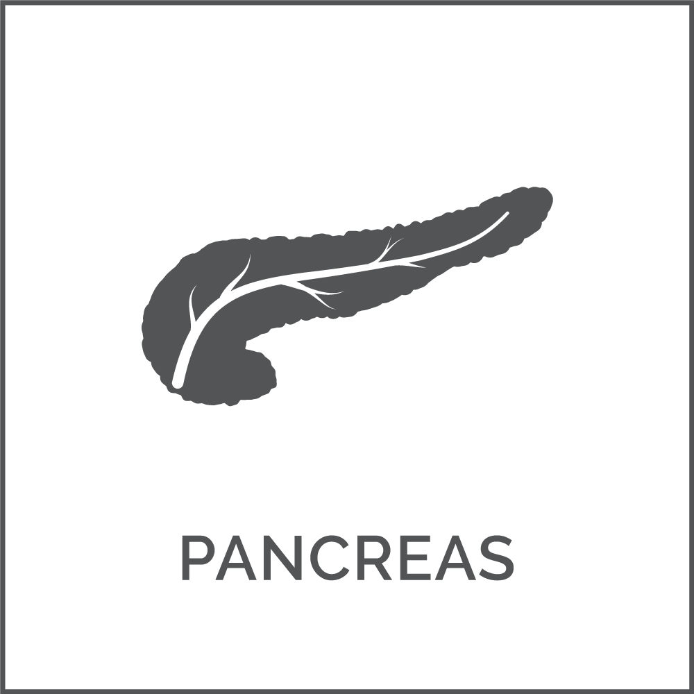 Pancreas - Darkness (1000x1000), Png Download