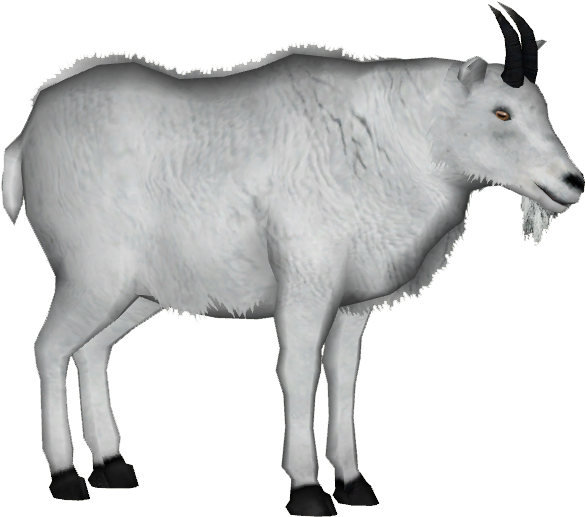 Mountain Goat Png - Rocky Mountain Goat Png (584x584), Png Download