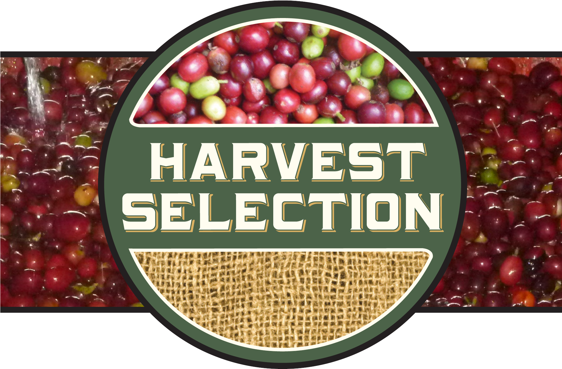 Nicaragua • Finca Un Regalo De Dios • El Aserradero - Carrboro Coffee Company (1959x1313), Png Download