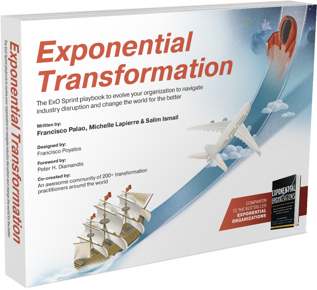 Take Action, Inspire Change, And Embrace The 21st Century - Exponential Transformation Salim Ismail (1141x1016), Png Download