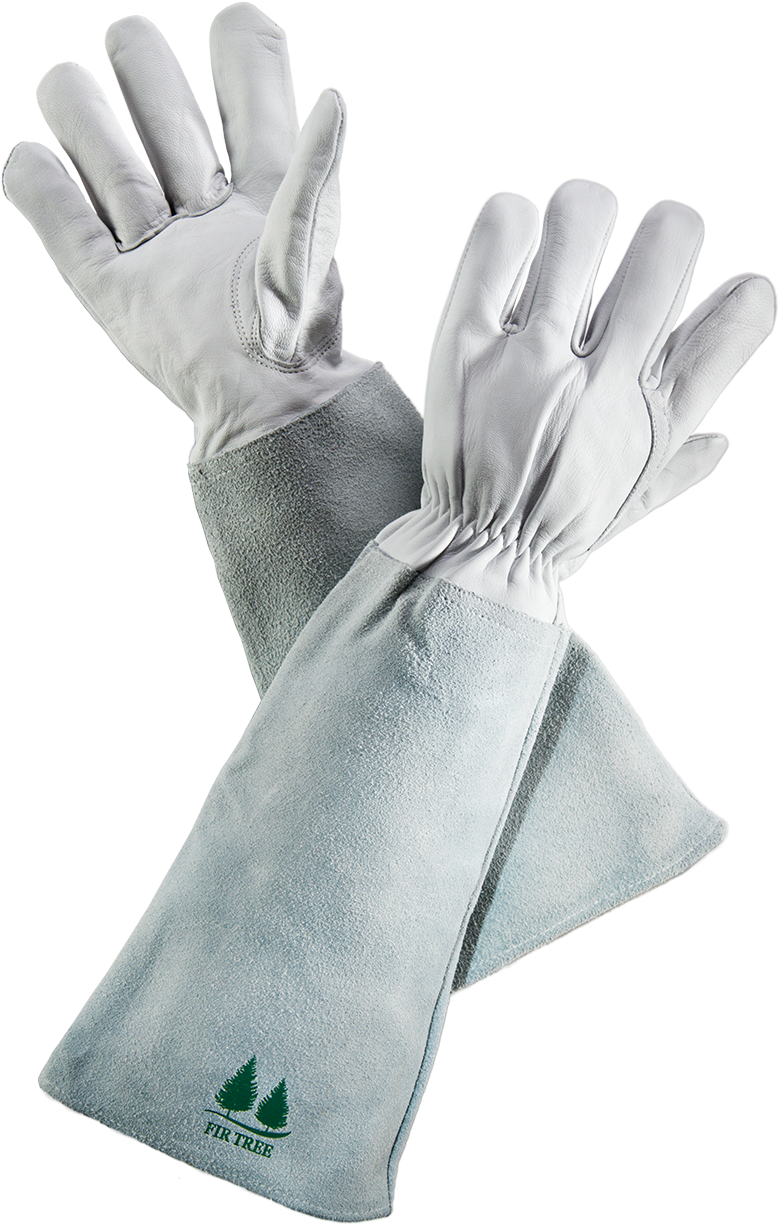 Fir Tree Gauntlet V2 - Firtree Brand Leather Gardening Gloves By Fir Tree. (1000x1280), Png Download
