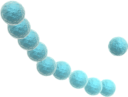 Diasorin Molecular Simplexa® Group A Strep Direct Kit - Diasorin Molecular Llc (705x705), Png Download