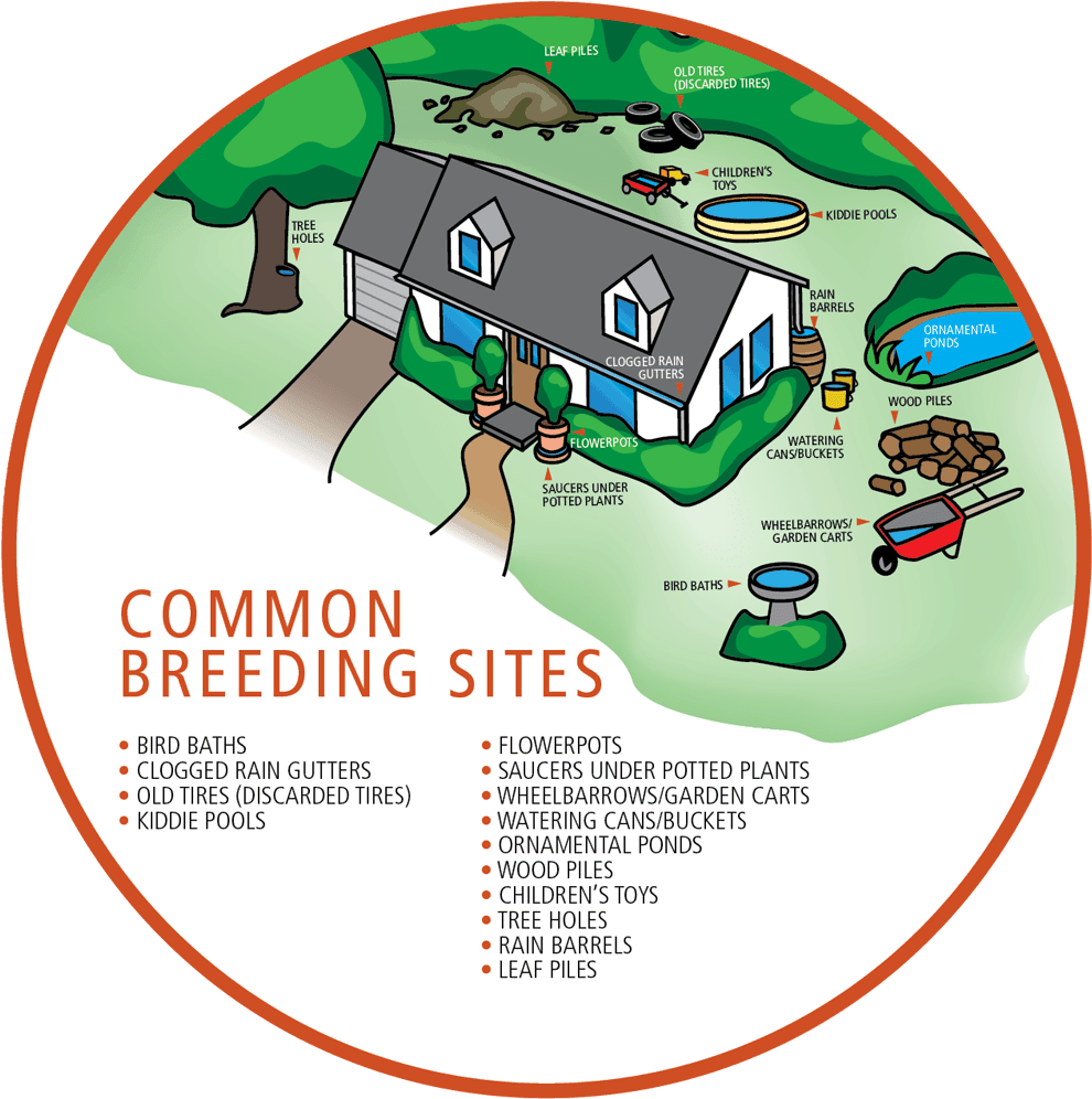 Breeding Areas Magnify - Breeding Site (1000x1006), Png Download