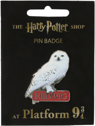 Harry Potter (528x600), Png Download