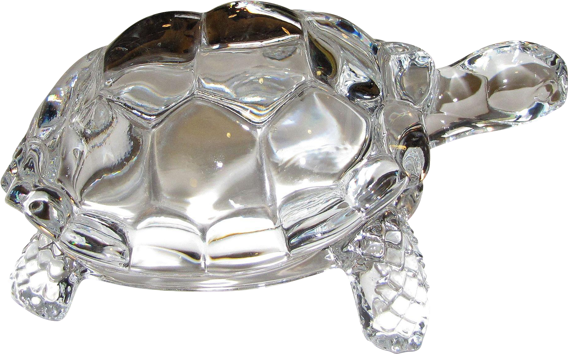 Turtle - Crystal Turtle Png (1835x1835), Png Download