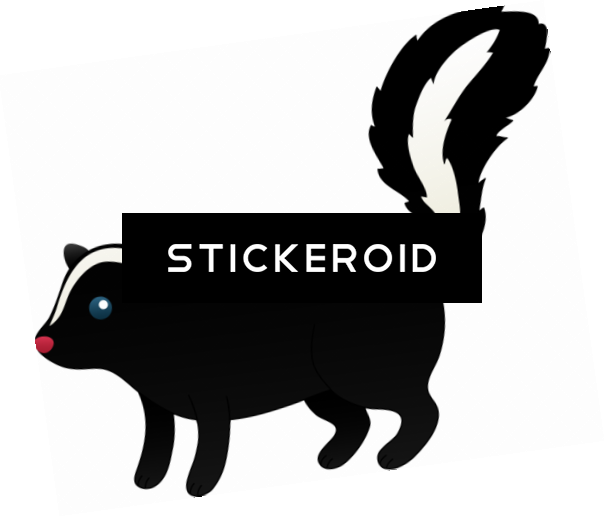 Skunk Animals - Illustration (605x517), Png Download