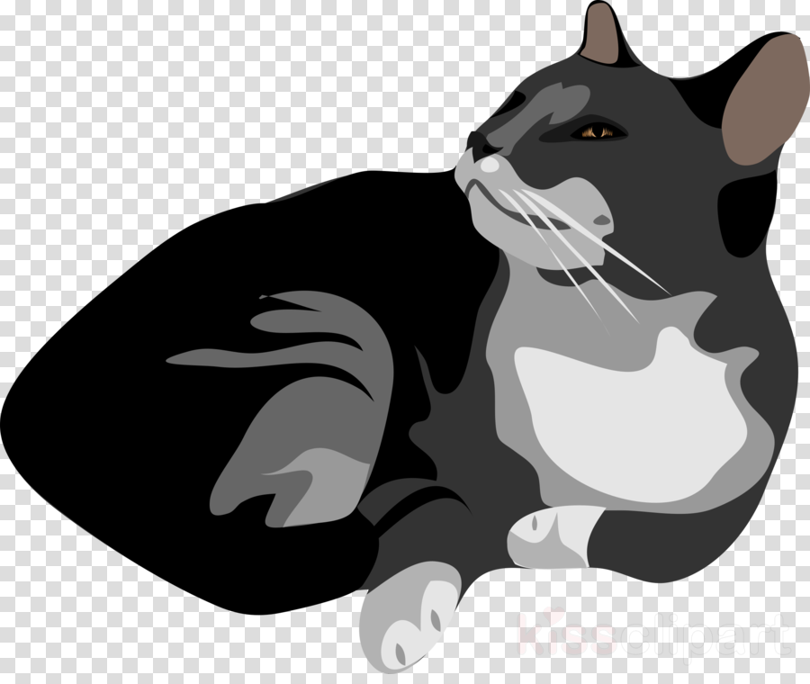 Download Download Grey And White Cat Ornament Clipart Kitten Wanted Dead And Alive Png Image With No Background Pngkey Com Download Download Grey And White Cat Ornament Clipart Kitten Wanted Dead And Alive Png Image With No Background Pngkey Com