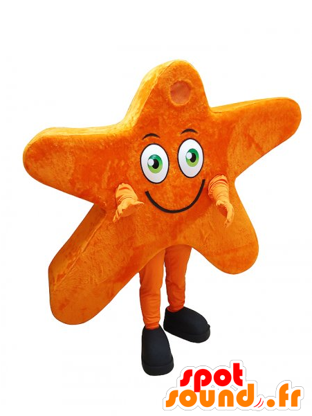 Mascot Orange Star, Giant, Smiling - Tohyokun New Spotsound Masot Yuru-chara Brown (600x600), Png Download