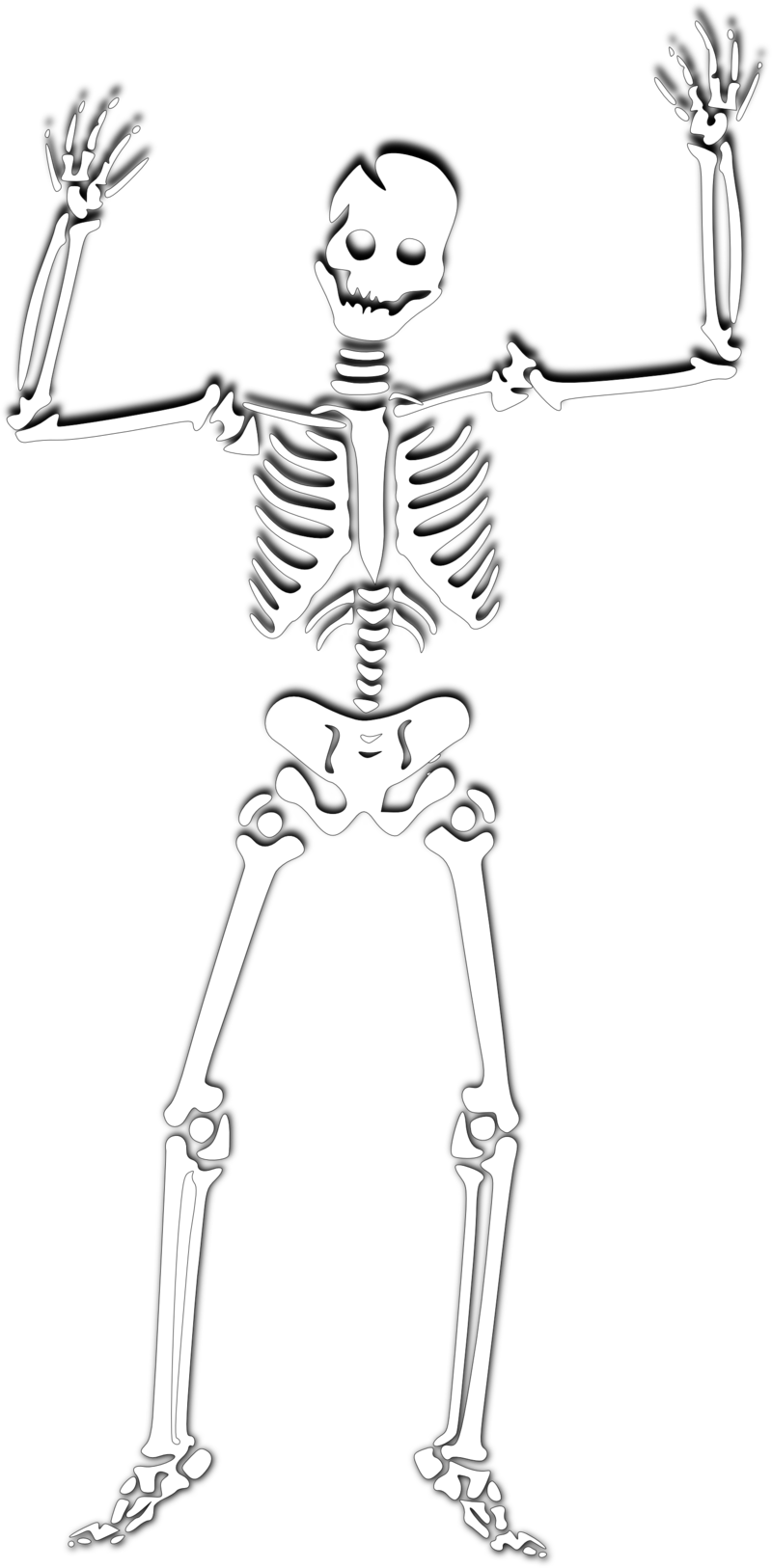 Halloween Skeleton Png Photos - Spooky Scary Skeleton Png (800x1626), Png Download