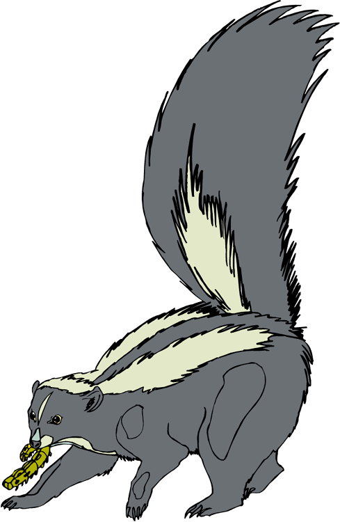 Skunk Clip Art - Skunk Painting Transparent Png (489x750), Png Download