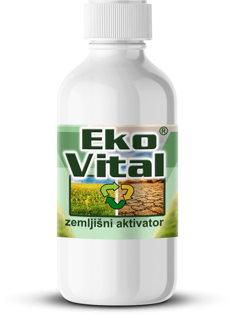 Carpet Cleaning (1138x1029), Png Download