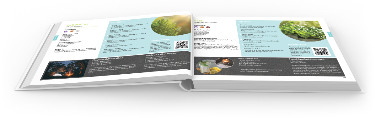 Advanced Oil Magic - Book (1200x385), Png Download