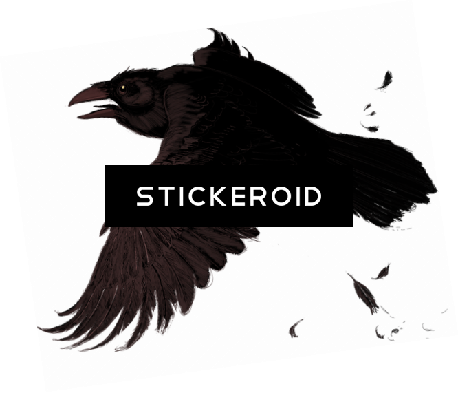 Raven - Portable Network Graphics (666x571), Png Download