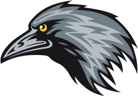 Crow Clipart Crow Head - Raven Mascot Vector (600x600), Png Download