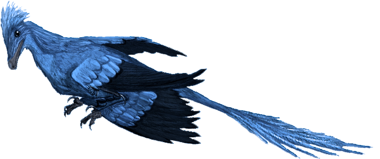 Microraptor Mmartyniuk True Colors - Small Microraptor (800x435), Png Download