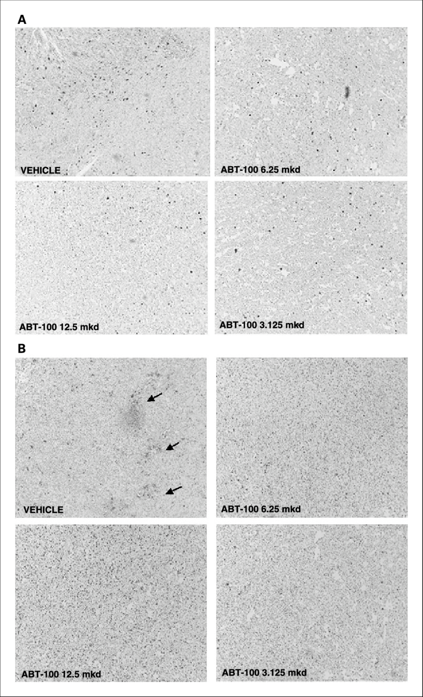 Abt 100 Affects Tumor Cell Proliferation And Apoptosis - Monochrome (850x1400), Png Download