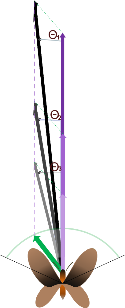 Team - Valencia Upv - 2014 - Igem - Org - " - Parallel (409x1010), Png Download