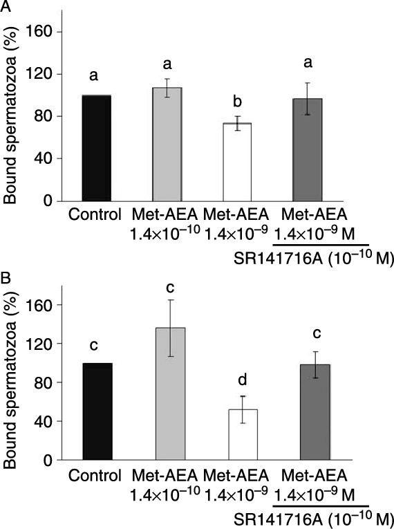 Experiment And Effect Of Met Aea Pre Treatment On Sperm - Sperm (570x765), Png Download