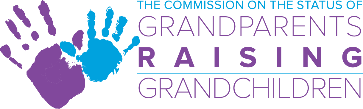 Grandparents Raising Grandchildren - Child Care Daily Diary, Blue Heart.: Childcare Daily (1219x368), Png Download