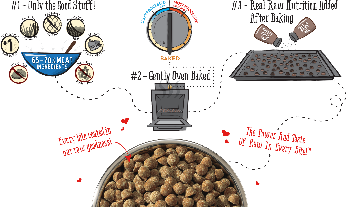 Download Delivering The Ultimate High Protein, Lowcarb Diet Stella