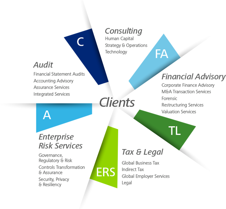 Deloitte Consulting Org Chart