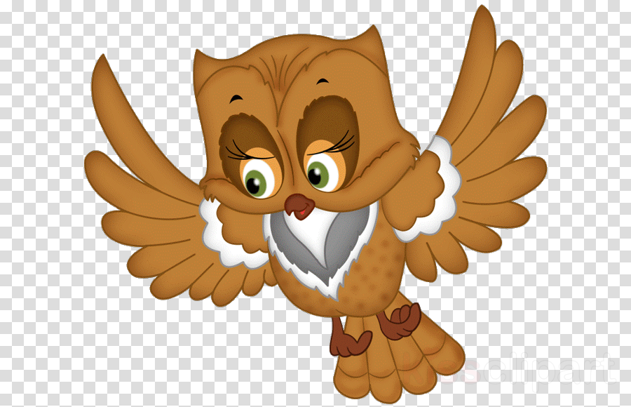 Best Gift - Irritable Owl Syndrome Hoodie/t-shirt/mug (900x580), Png Download