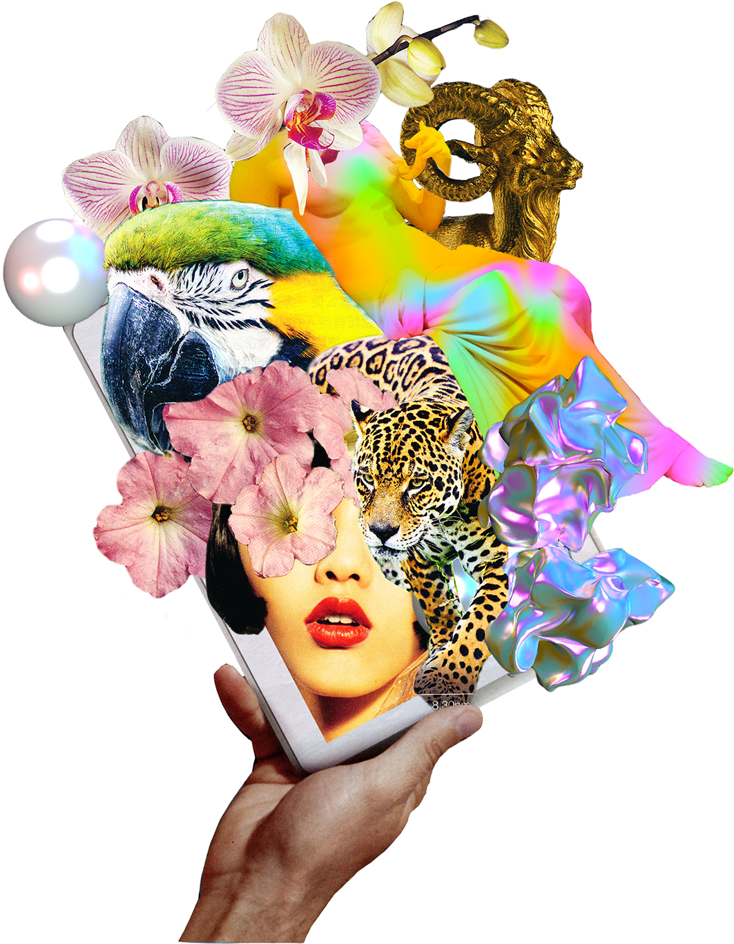 Final Presentation - Stunning Jaguar (pantera Onca) On The Prowl Journal (1200x1455), Png Download