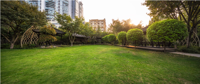 茵梦苑草坪lawn Of The Yinmengyuan Garden - Lawn (800x600), Png Download