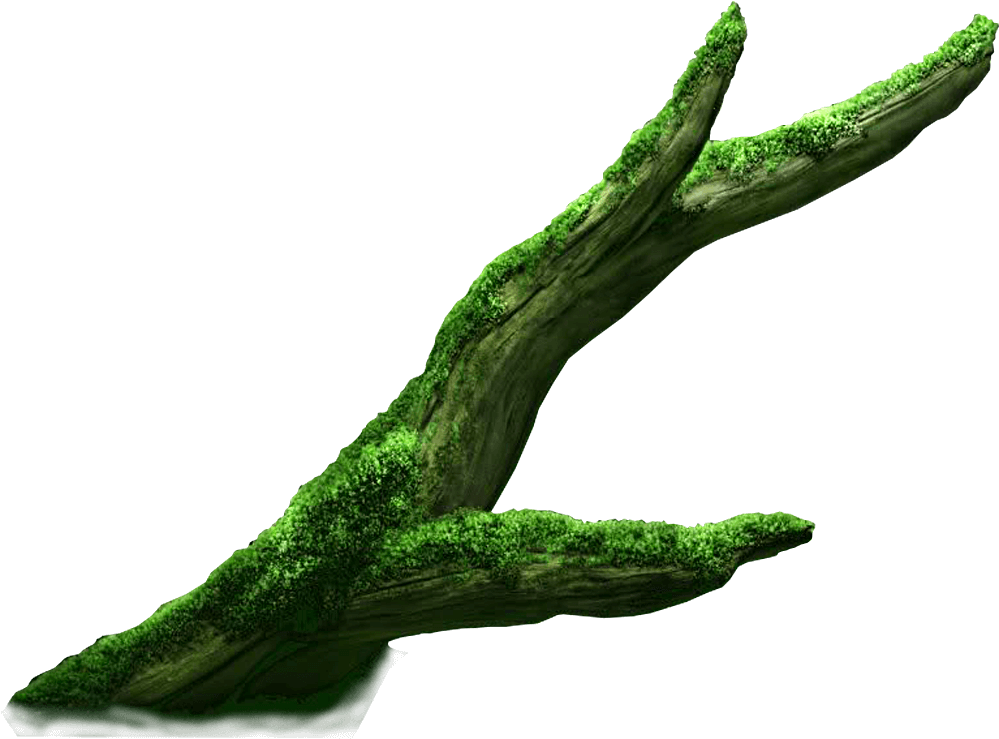 Parallax-clownfish - Illustration (2120x1280), Png Download