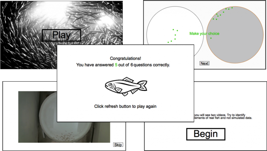 Select Gifts Fish Graphic - Engraved Personalised Silver (1024x580), Png Download