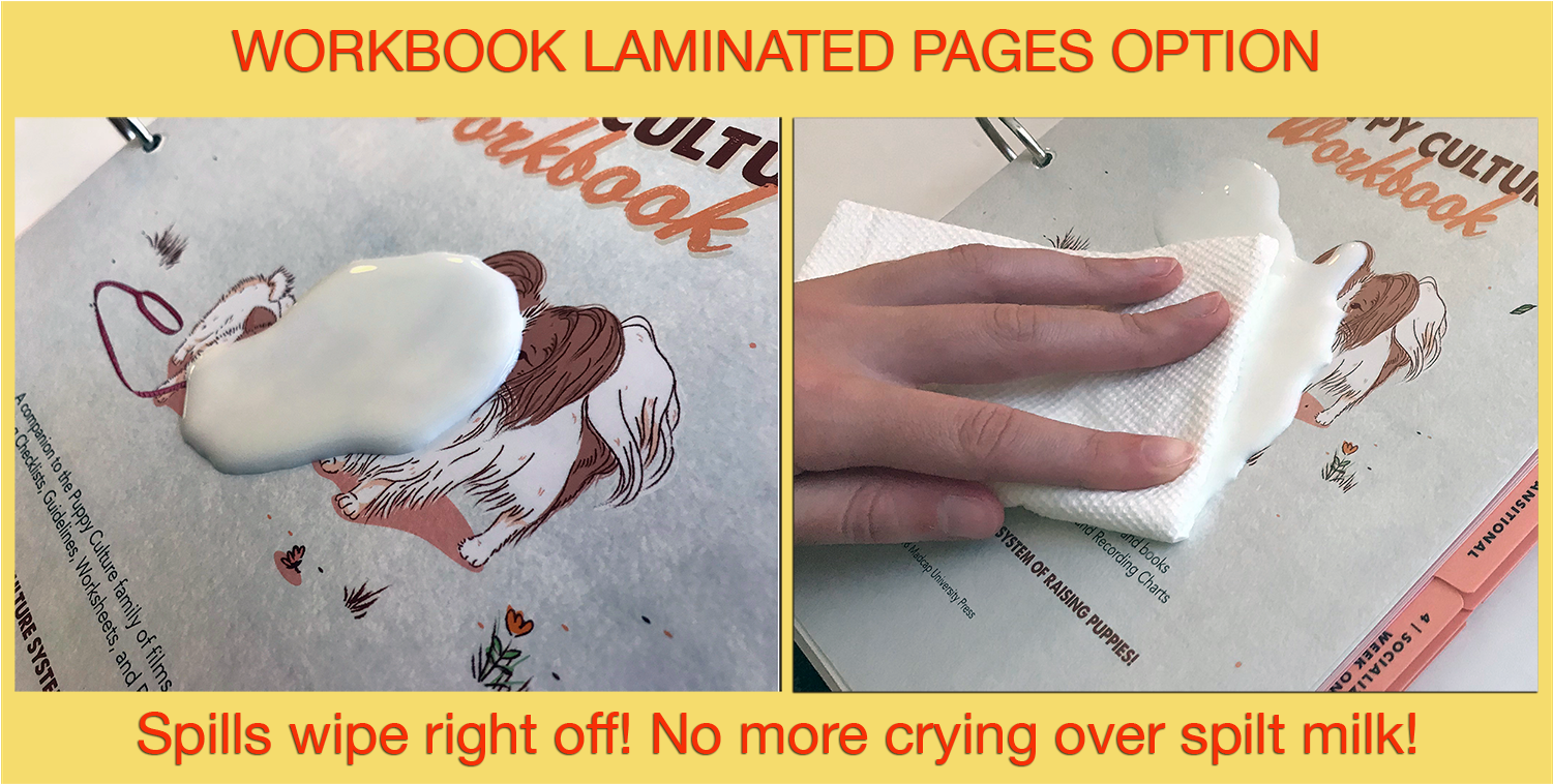 Video On Demand (1500x1500), Png Download