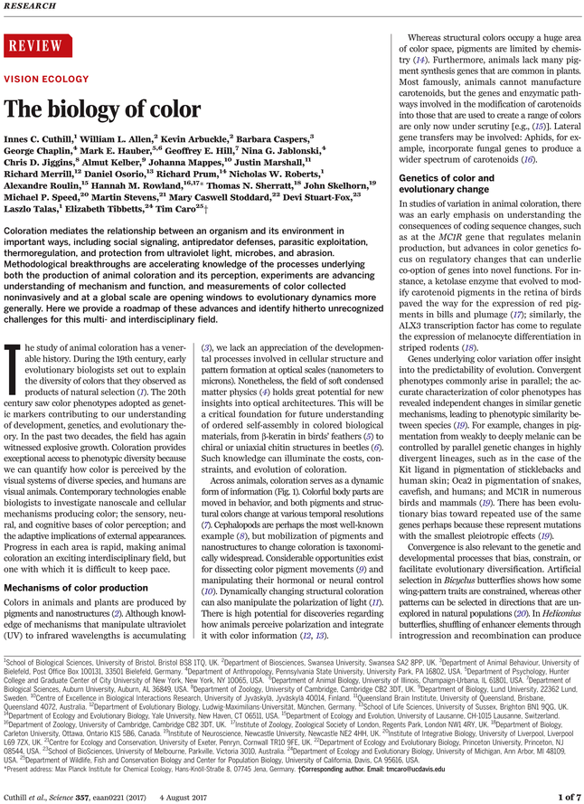 Folio Fifteen From Burchard Of Sion's De Locis Ac Mirabilibus (729x929), Png Download