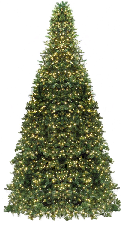 Quick View - Christmas Tree (410x750), Png Download