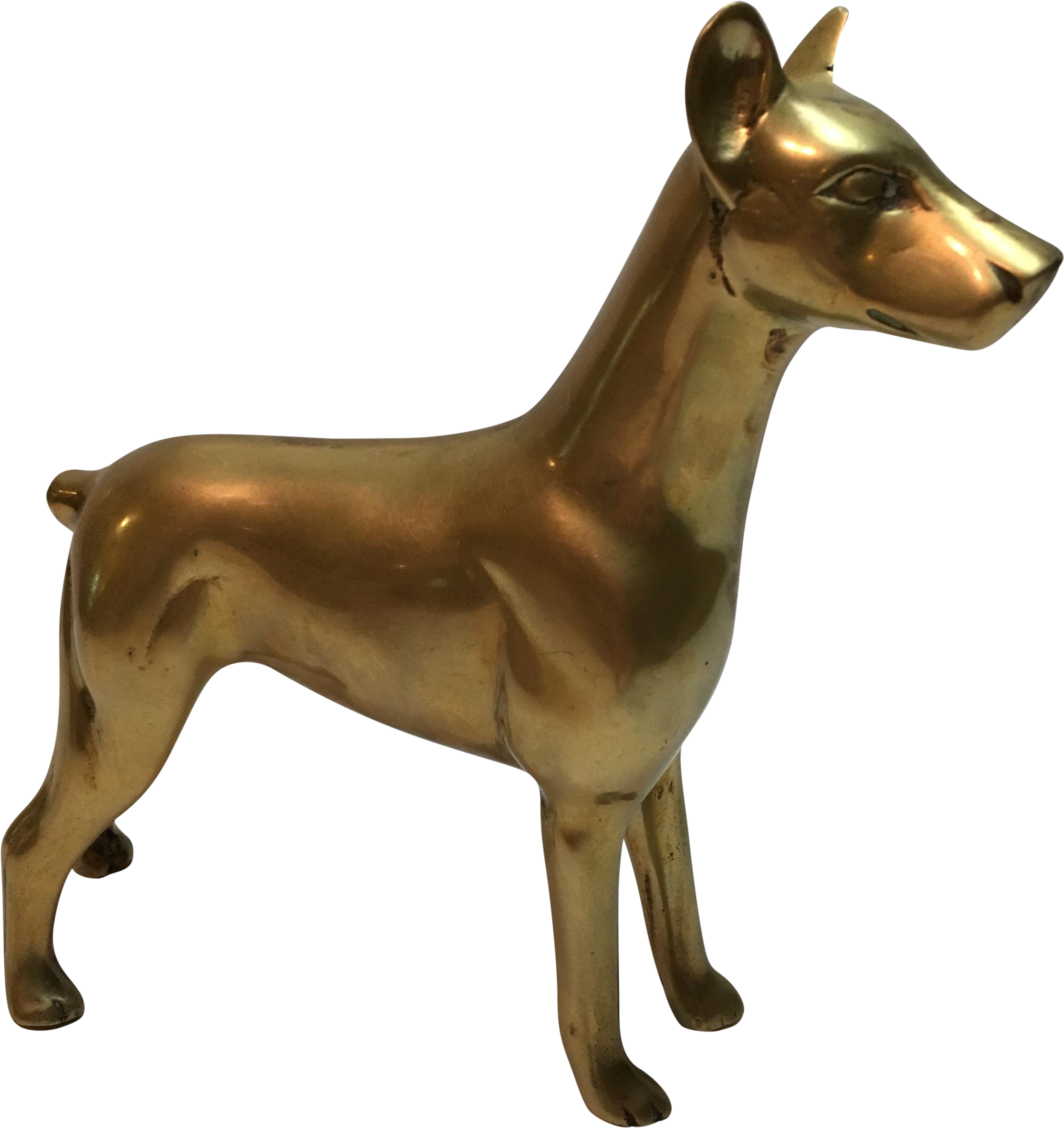 Dog (2767x2933), Png Download