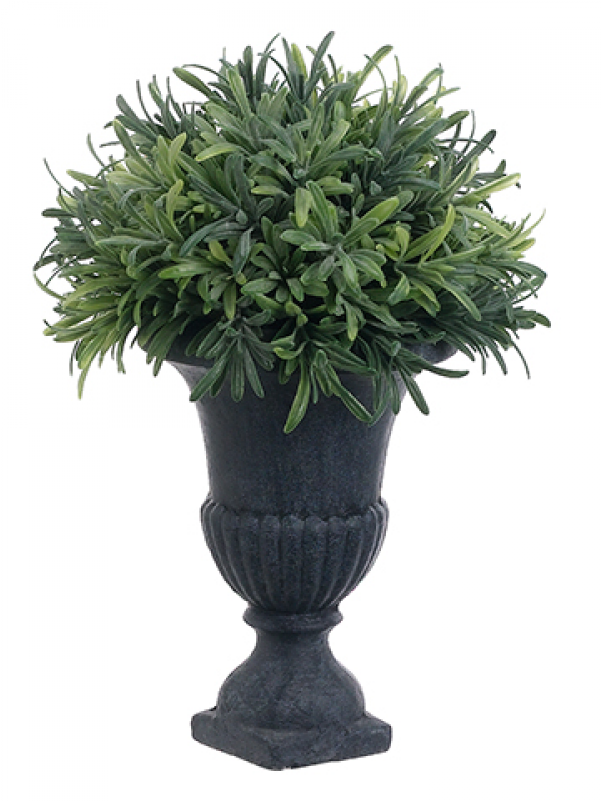 11" Rosemary Ball Topiary In Urn Frosted Green - Inch (800x800), Png Download