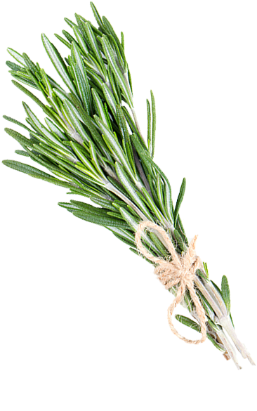 Studies Have Demonstrated That Rosemary Oil Promotes - L:a Bruket Handcreme Salbei-rosmarin-lavendel (30ml) (600x600), Png Download