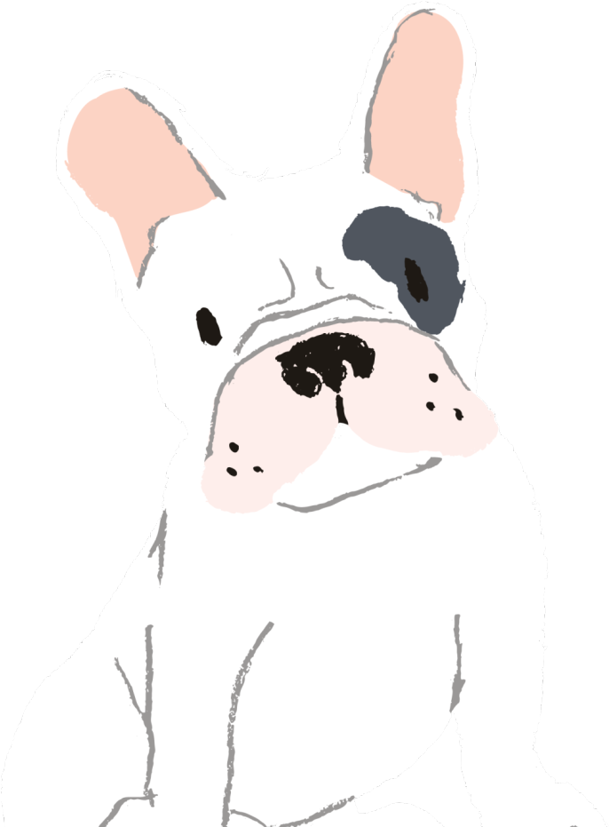 Hand Drawn Cute Cartoon Dog Vector Image - Bullet Journal For Dog Lovers White French Bulldog: (700x930), Png Download