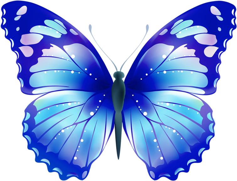 Download Valentinsgruß Notecard Auf Polnisch Mitteilungskarte - 4 Butterflies Flowered Backgroud Shower Curtain (800x760), Png Download